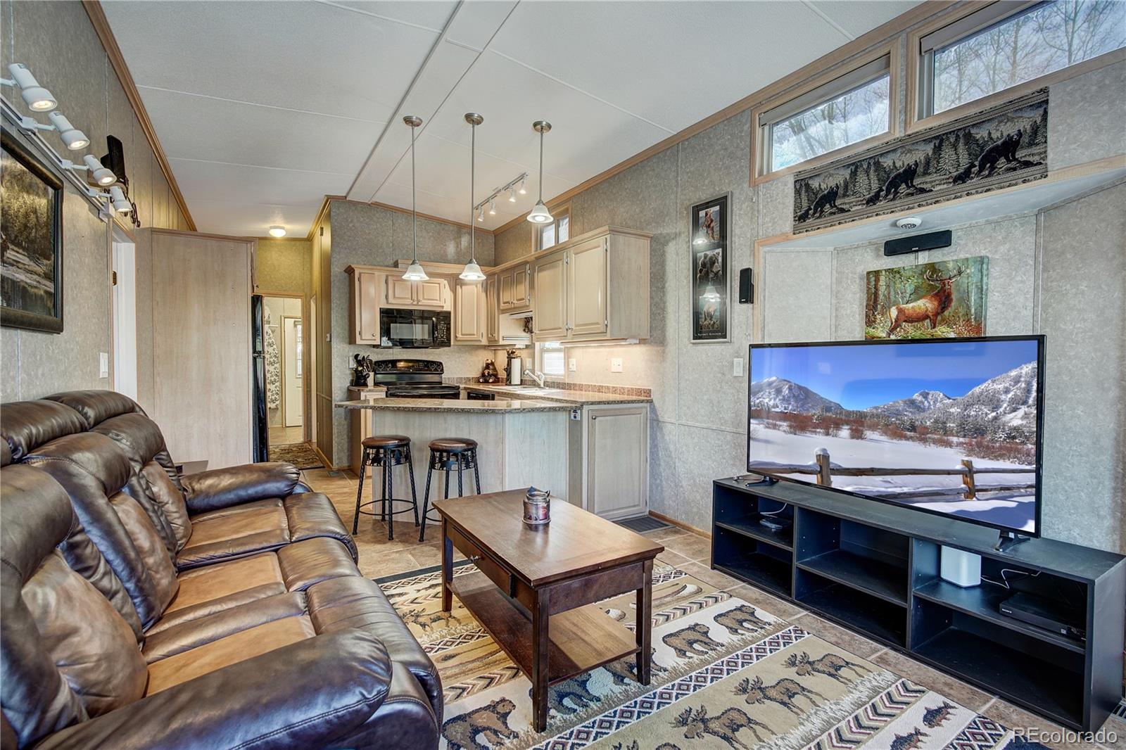 MLS Image #3 for 85  revett drive,breckenridge, Colorado