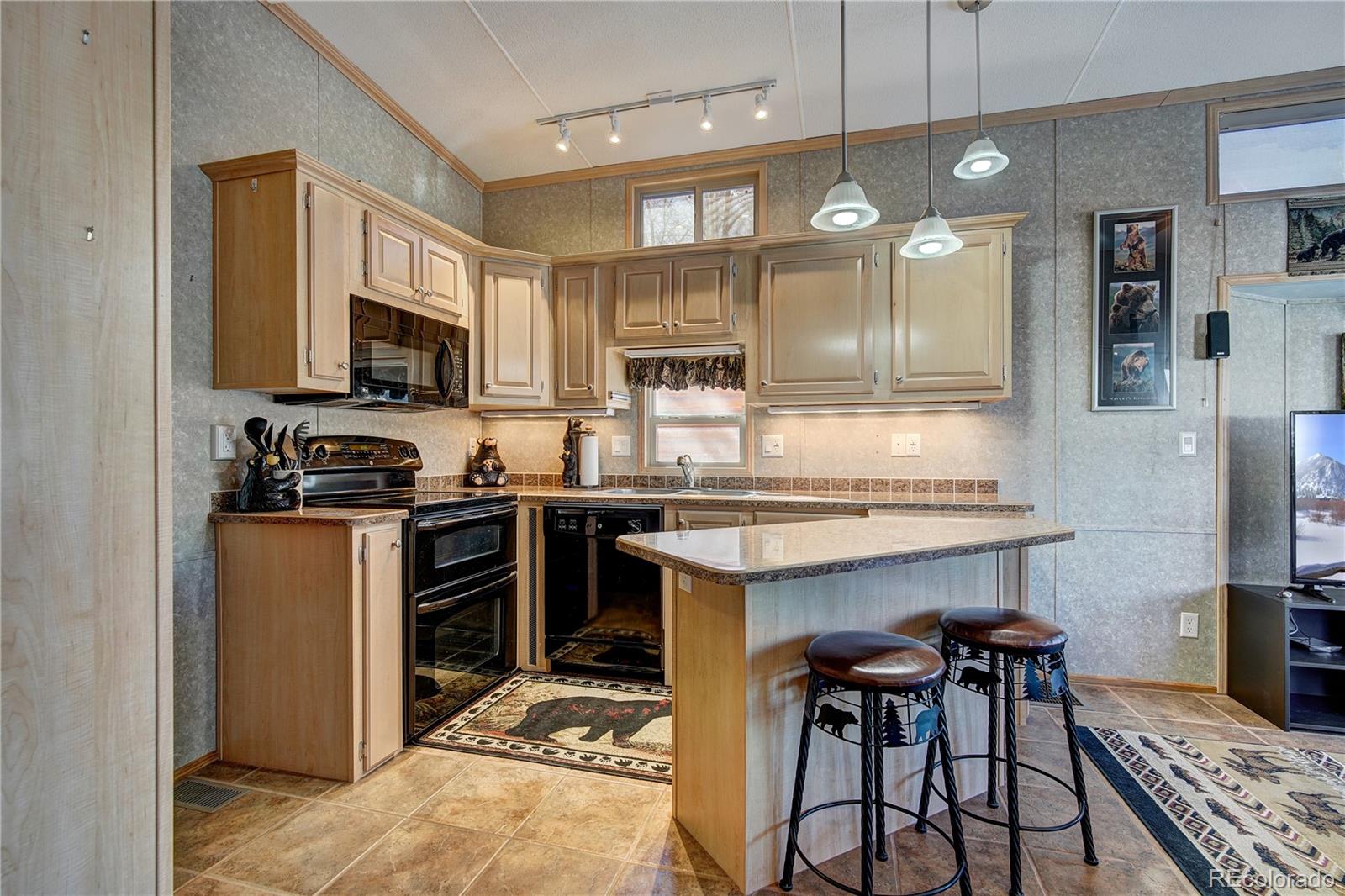 MLS Image #5 for 85  revett drive,breckenridge, Colorado