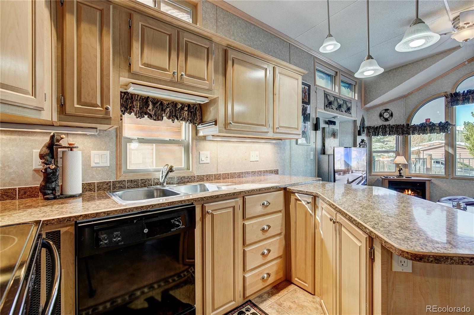 MLS Image #6 for 85  revett drive,breckenridge, Colorado