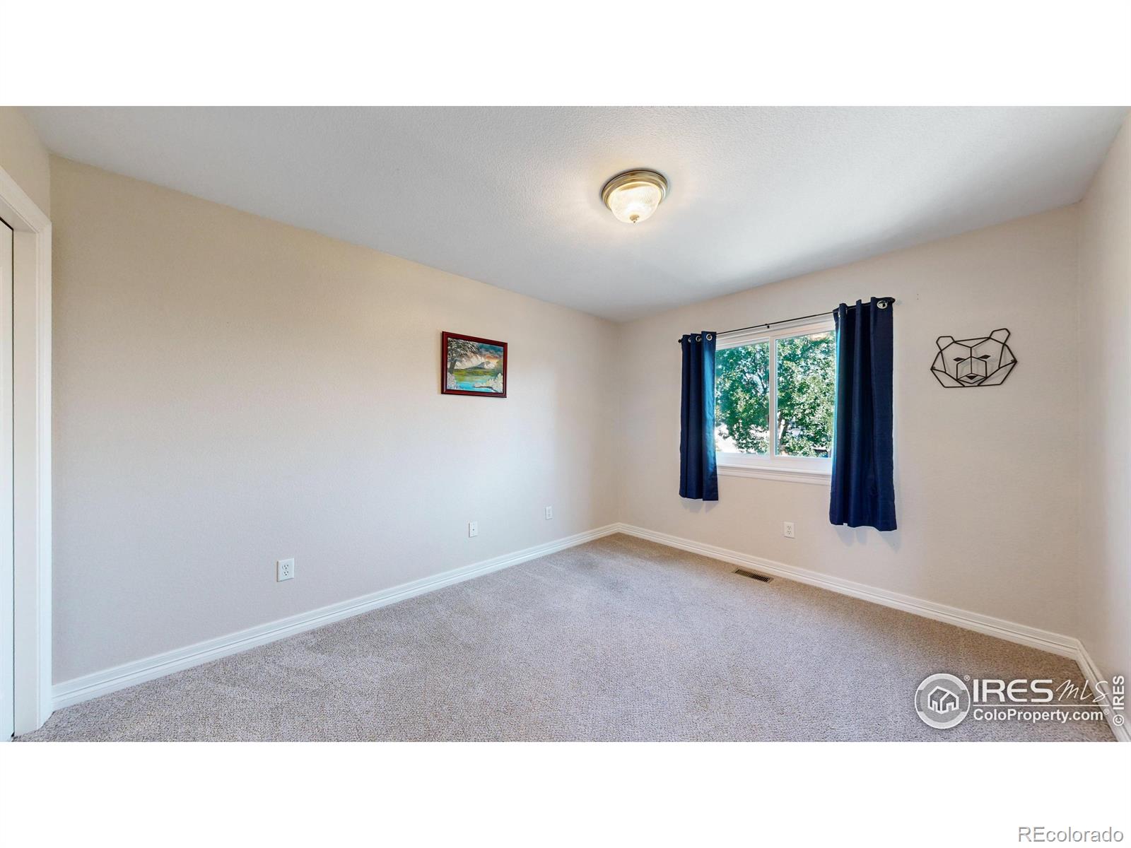 MLS Image #24 for 807  waxberry court,loveland, Colorado