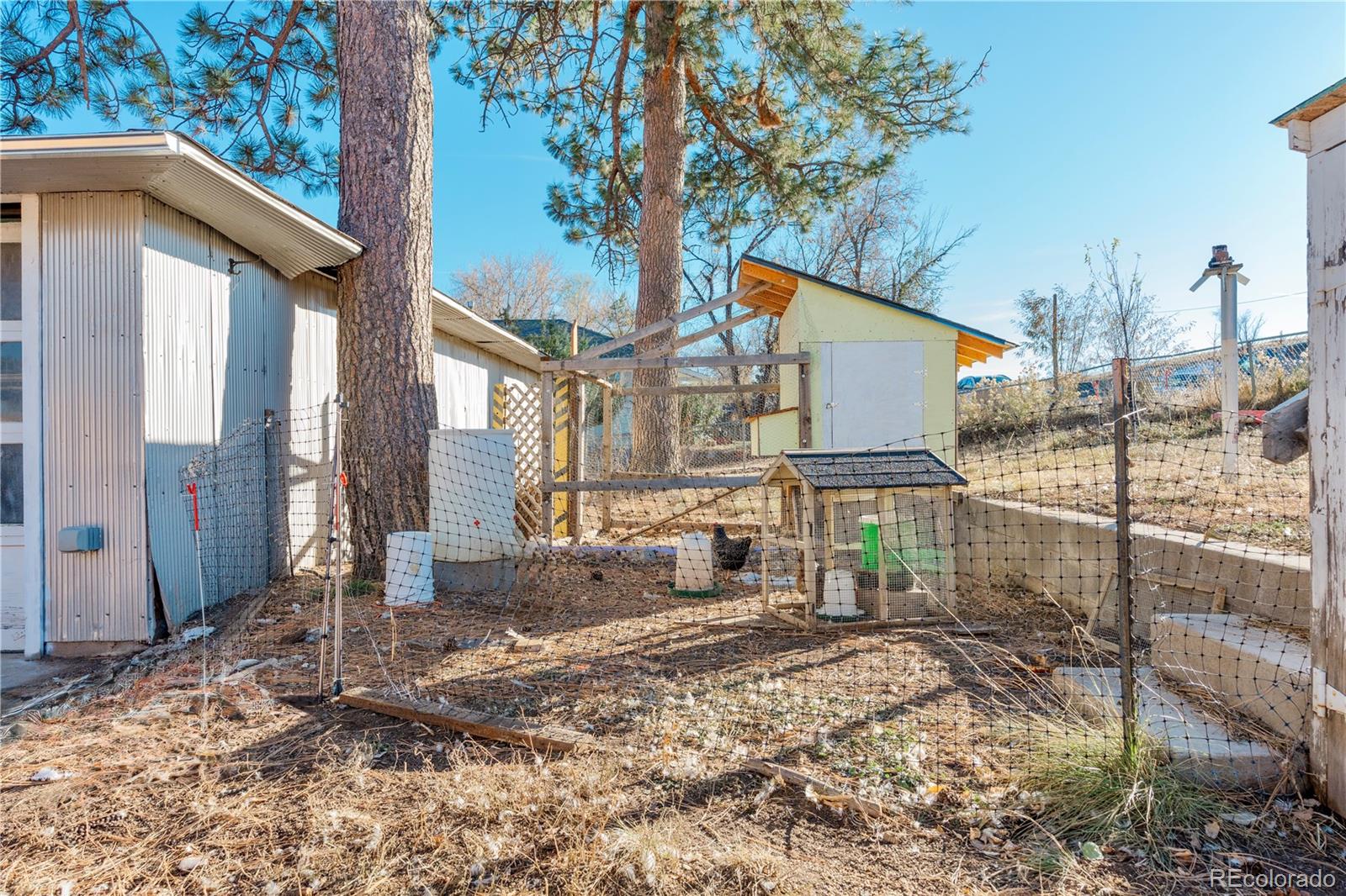 MLS Image #38 for 6440  third street,louviers, Colorado