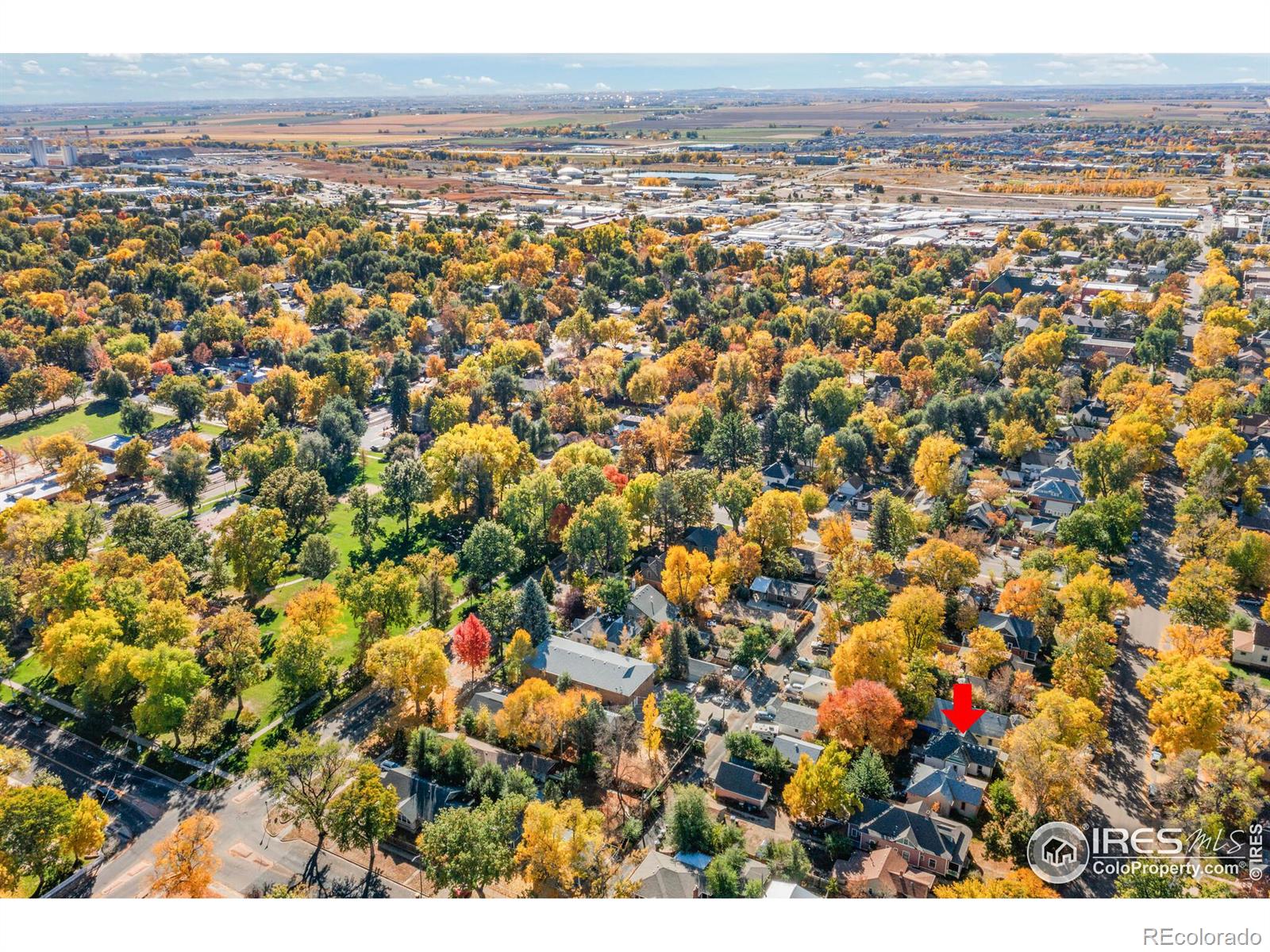 MLS Image #28 for 624  emery street,longmont, Colorado