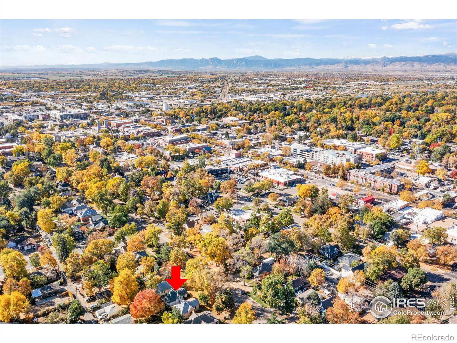 MLS Image #29 for 624  emery street,longmont, Colorado