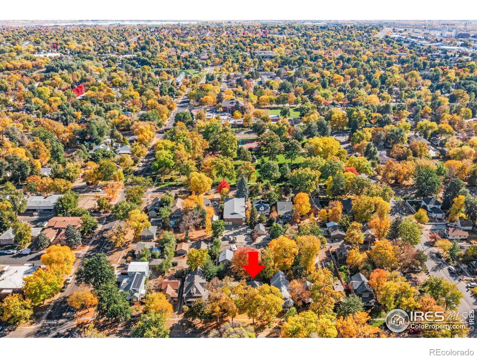 MLS Image #31 for 624  emery street,longmont, Colorado