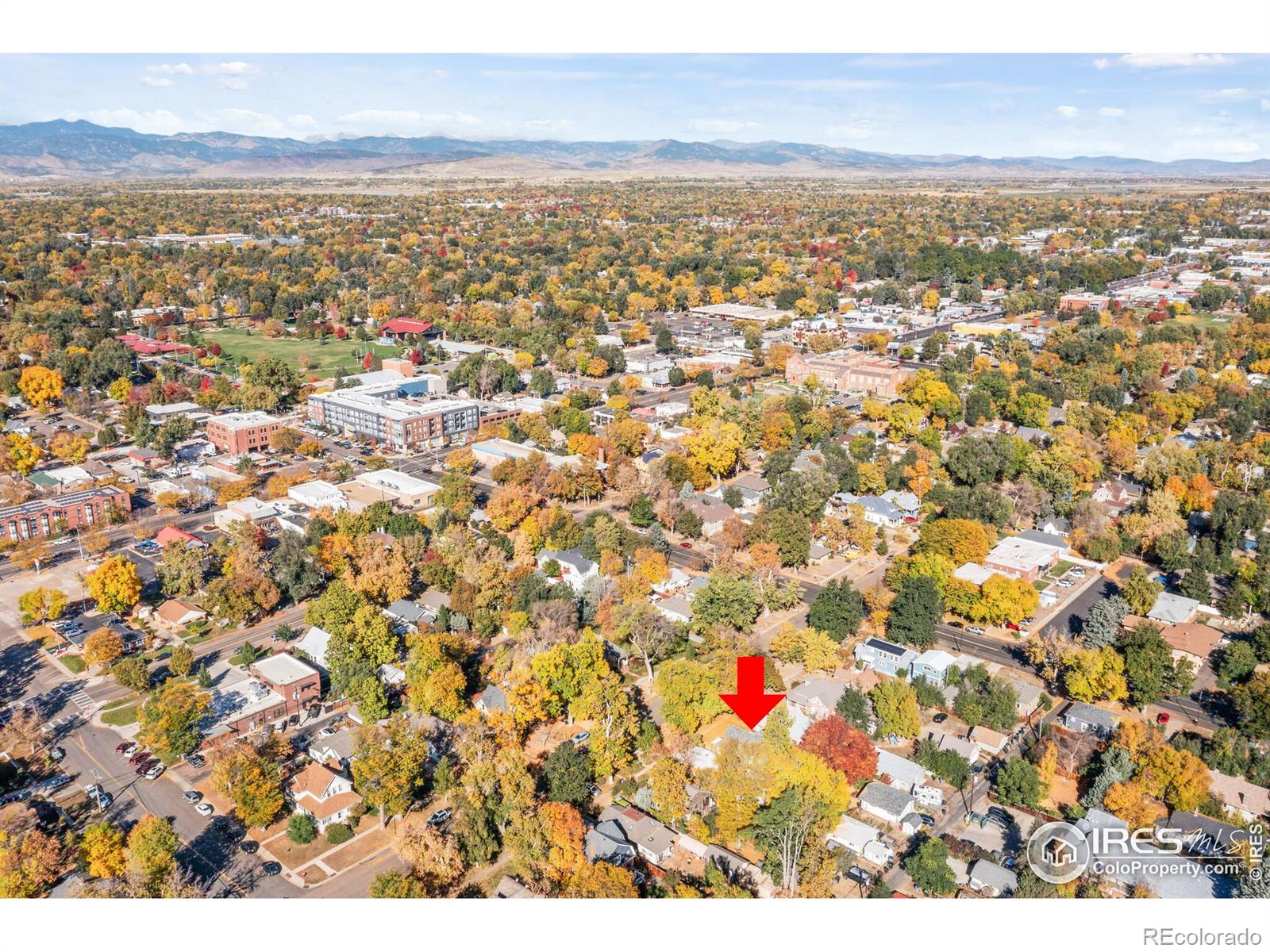 MLS Image #32 for 624  emery street,longmont, Colorado