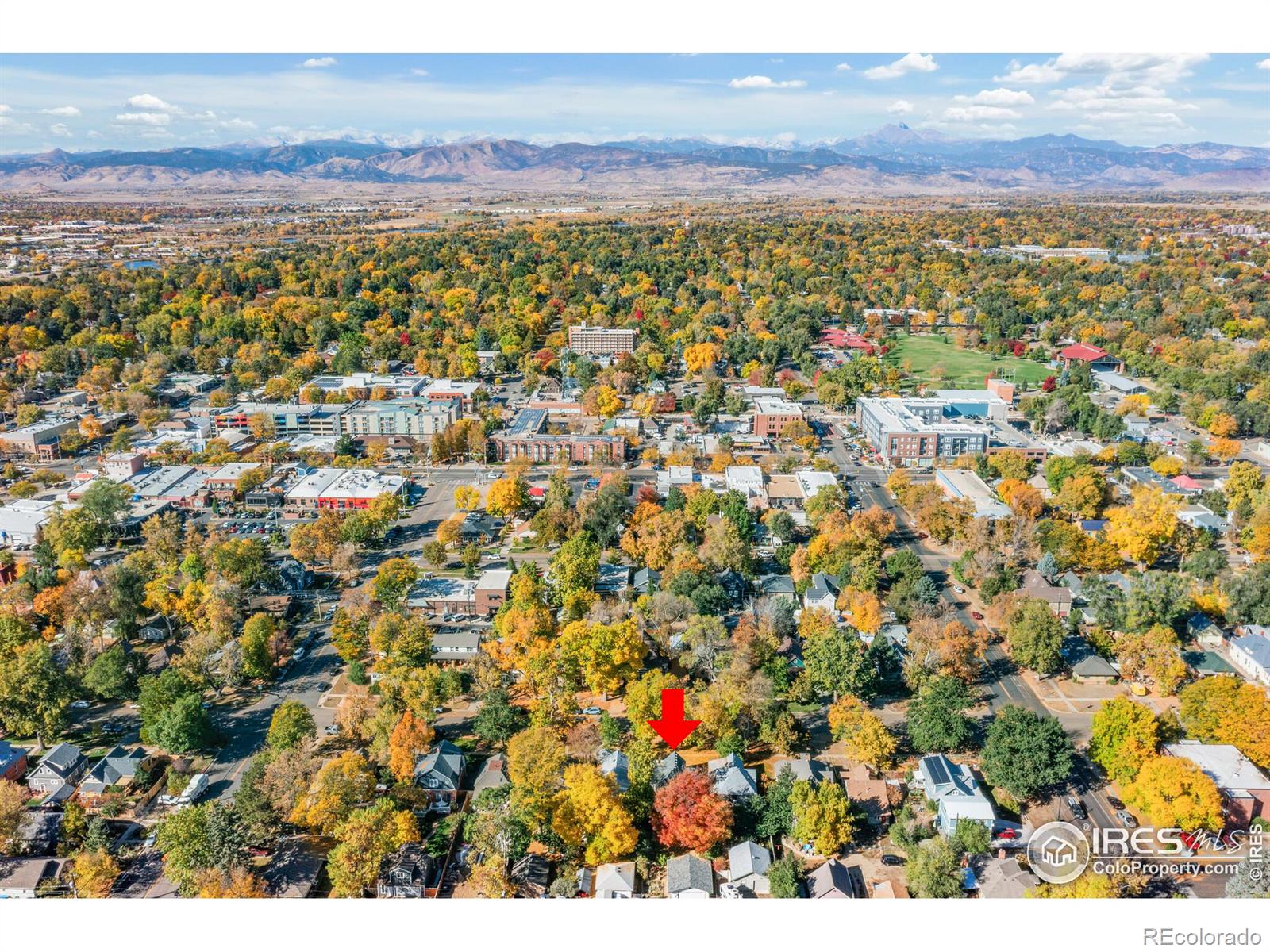 MLS Image #34 for 624  emery street,longmont, Colorado