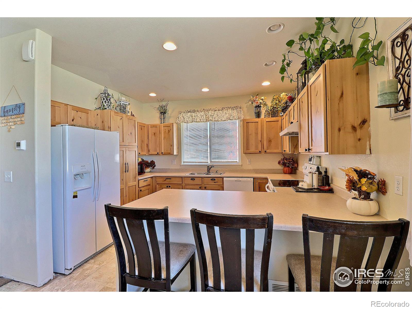 MLS Image #12 for 814  mt sneffels avenue,severance, Colorado