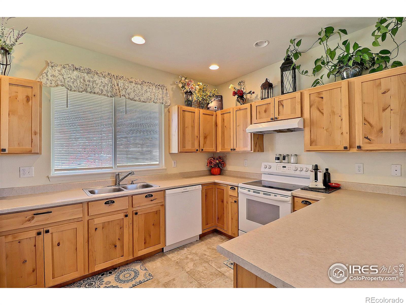 MLS Image #13 for 814  mt sneffels avenue,severance, Colorado