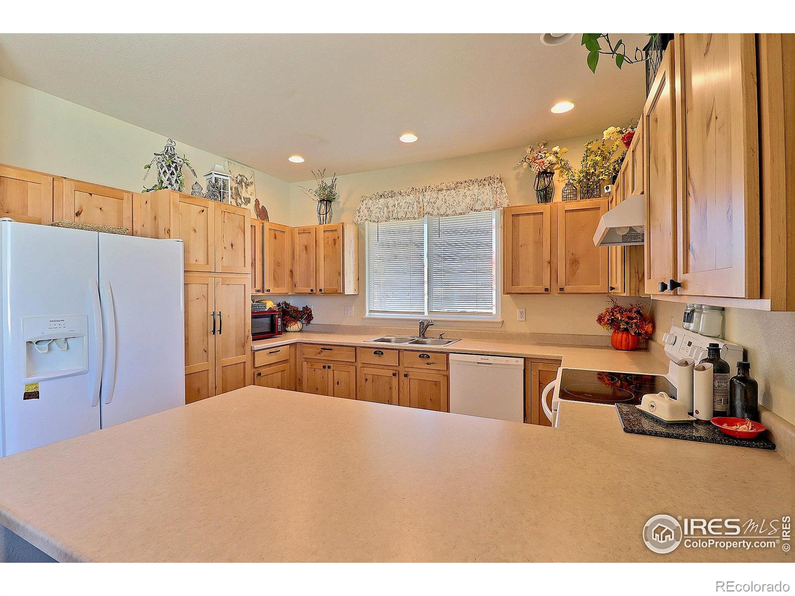 MLS Image #14 for 814  mt sneffels avenue,severance, Colorado