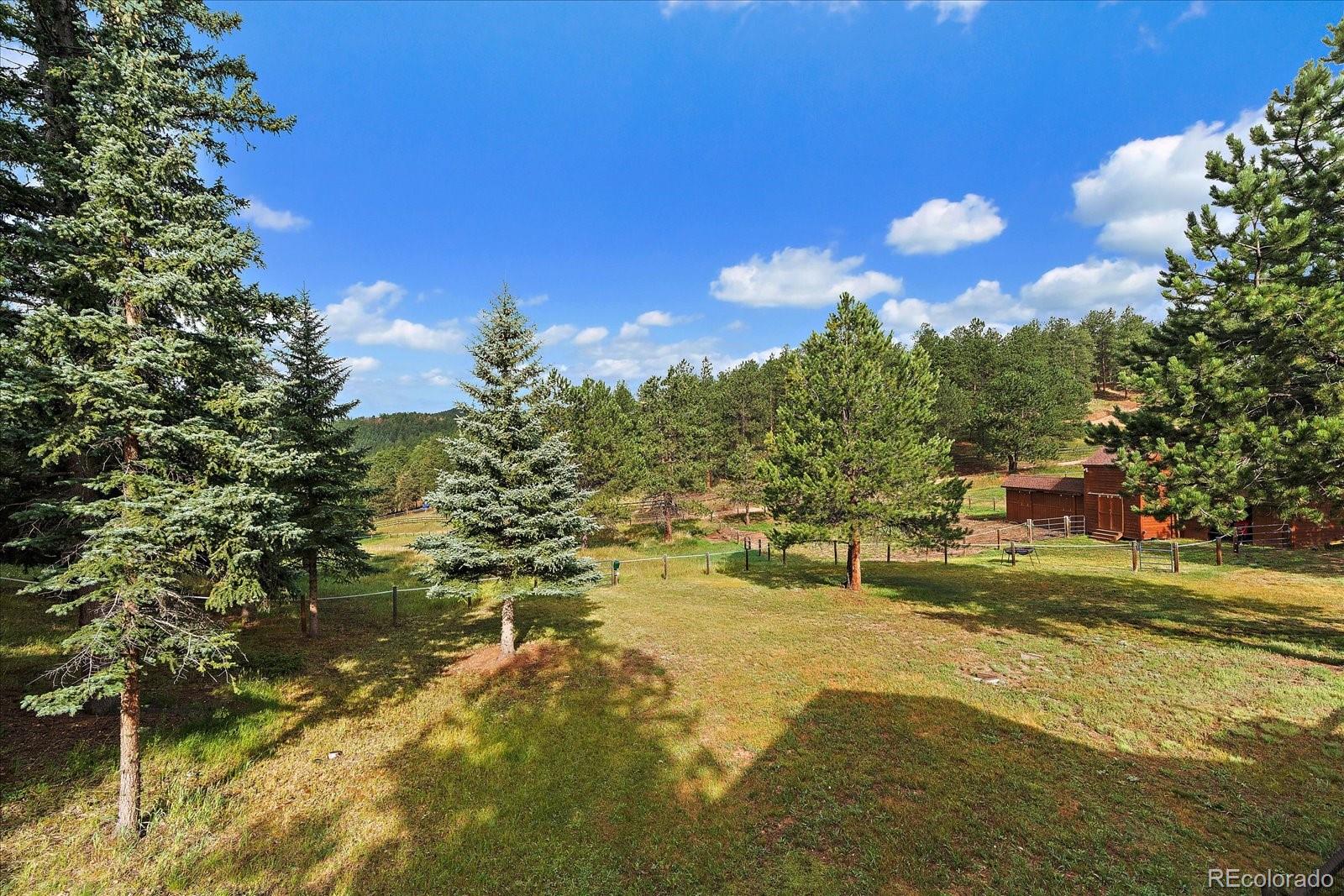 MLS Image #21 for 31196  roberts road,pine, Colorado