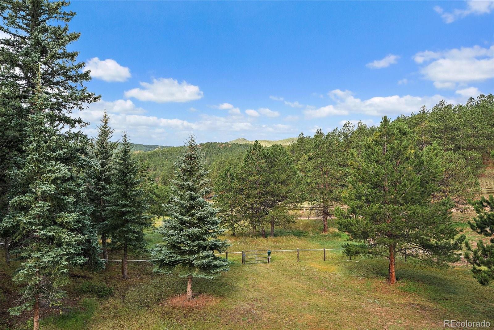 MLS Image #36 for 31196  roberts road,pine, Colorado