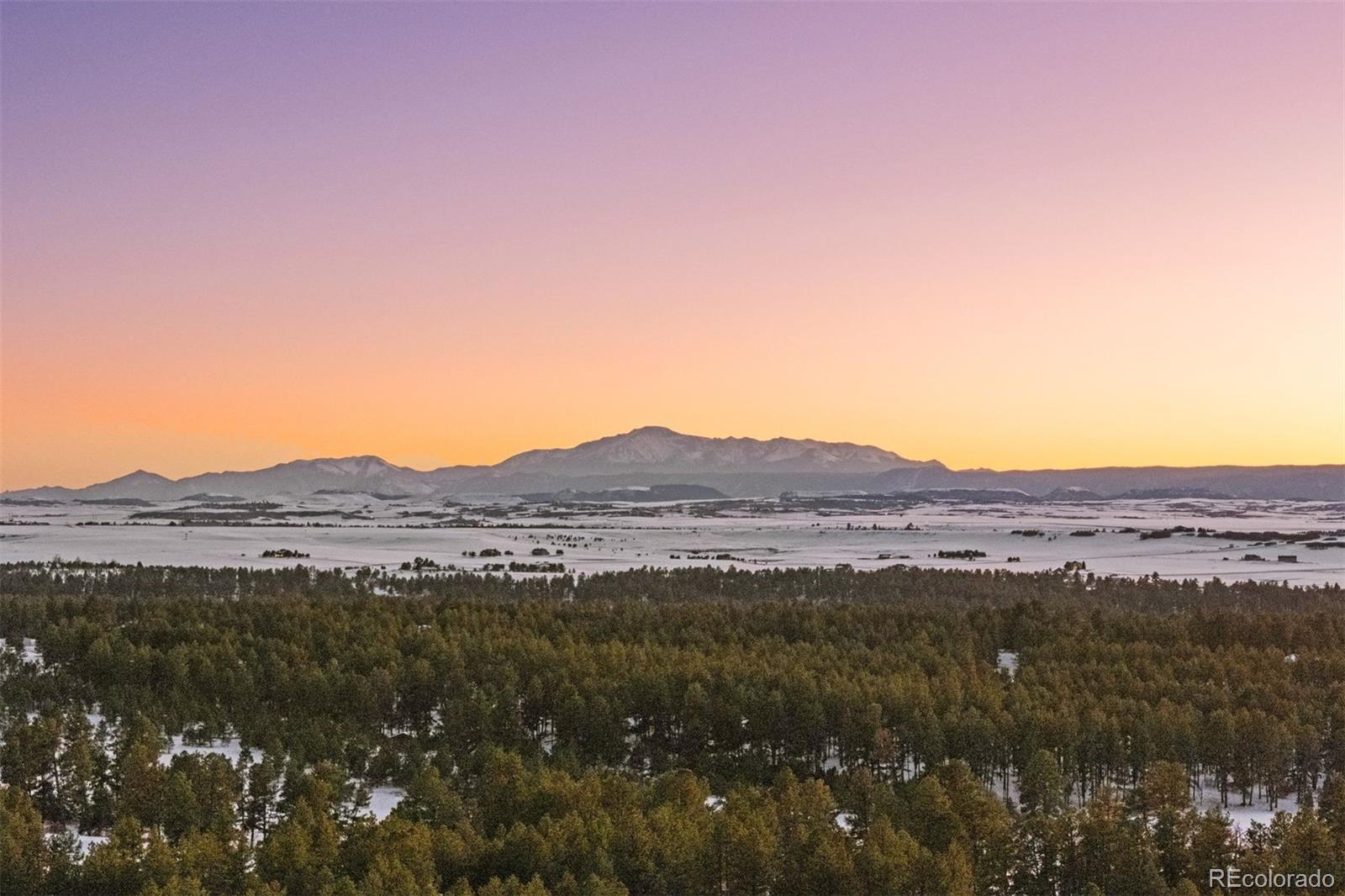 MLS Image #39 for 367  sandy hollow trail,franktown, Colorado