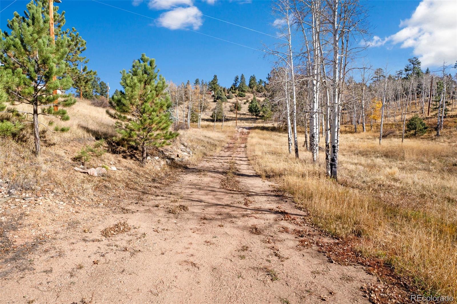 MLS Image #26 for 13757  wamblee trail,conifer, Colorado