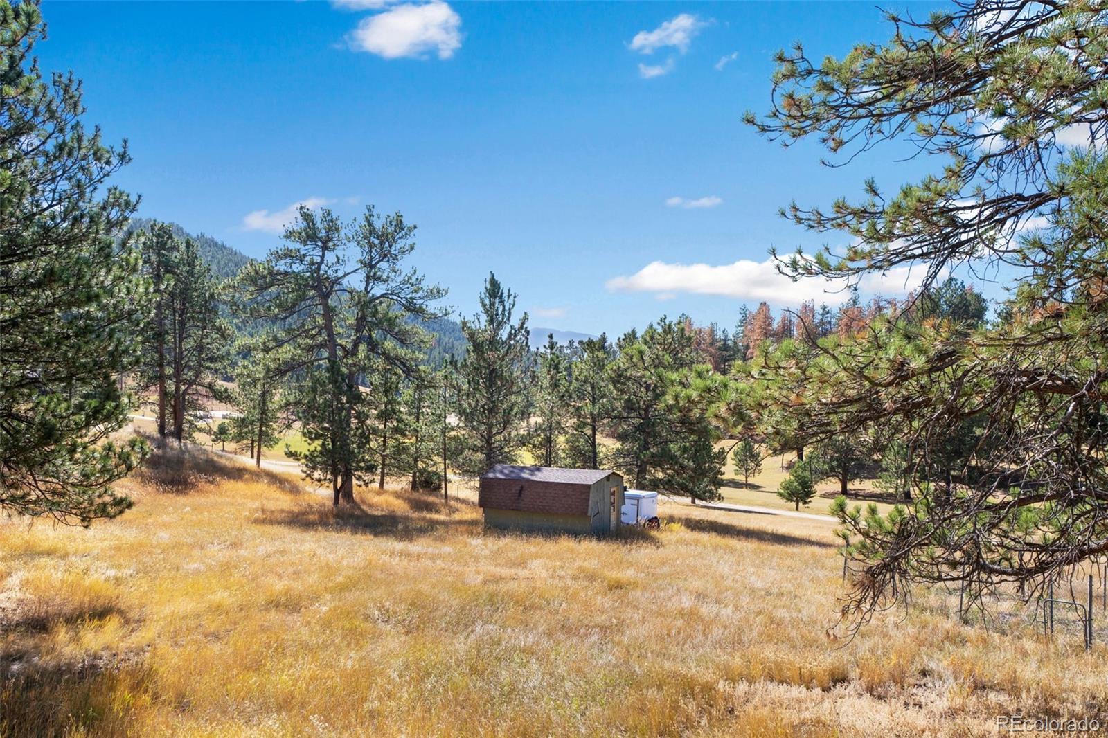 MLS Image #30 for 13757  wamblee trail,conifer, Colorado