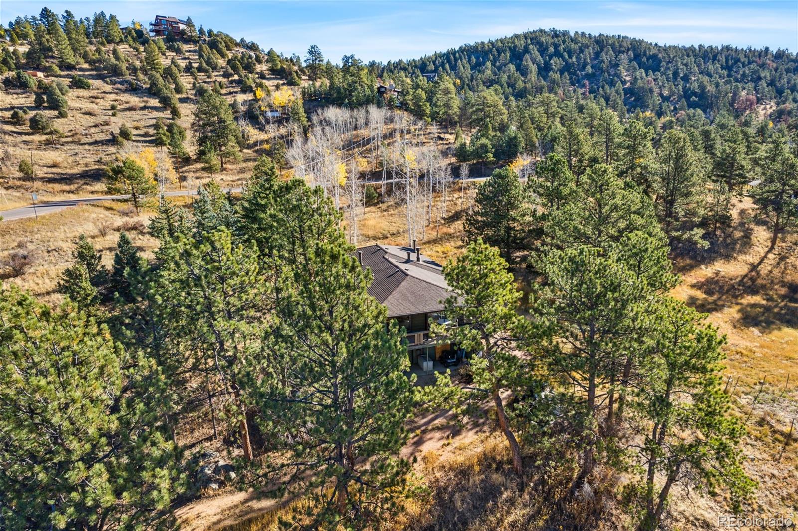 MLS Image #33 for 13757  wamblee trail,conifer, Colorado