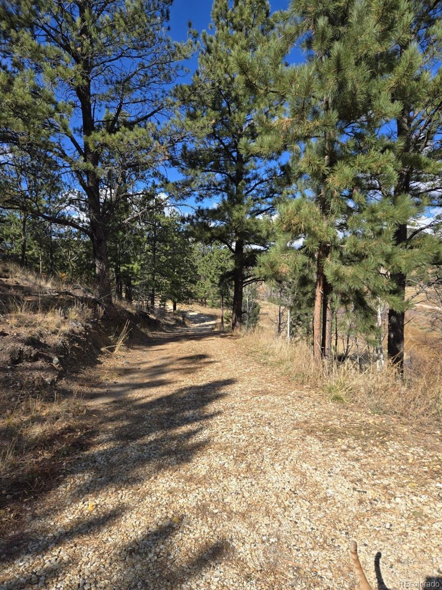 MLS Image #24 for 2144  cr 260 ,westcliffe, Colorado