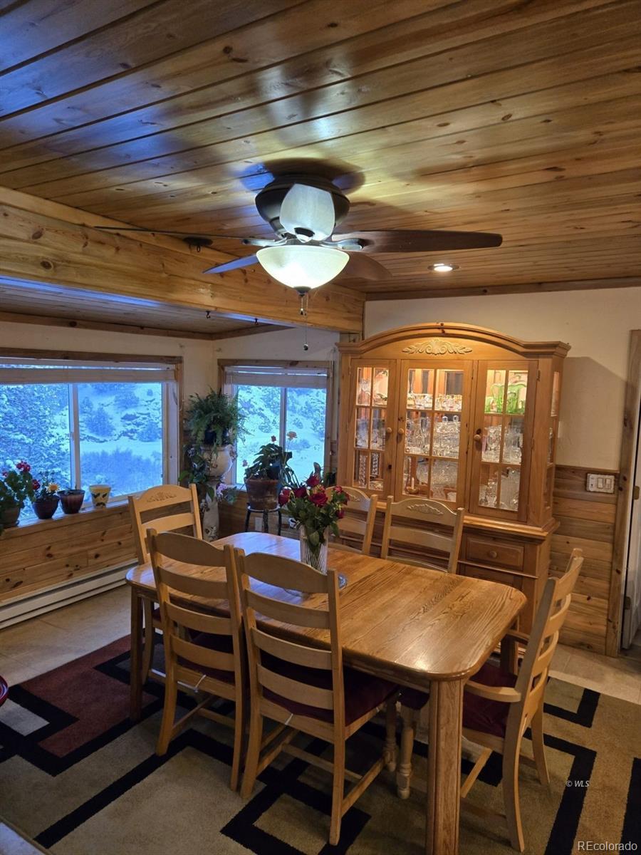 MLS Image #5 for 2144  cr 260 ,westcliffe, Colorado