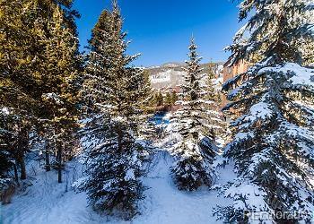 MLS Image #42 for 1459 e keystone road,dillon, Colorado