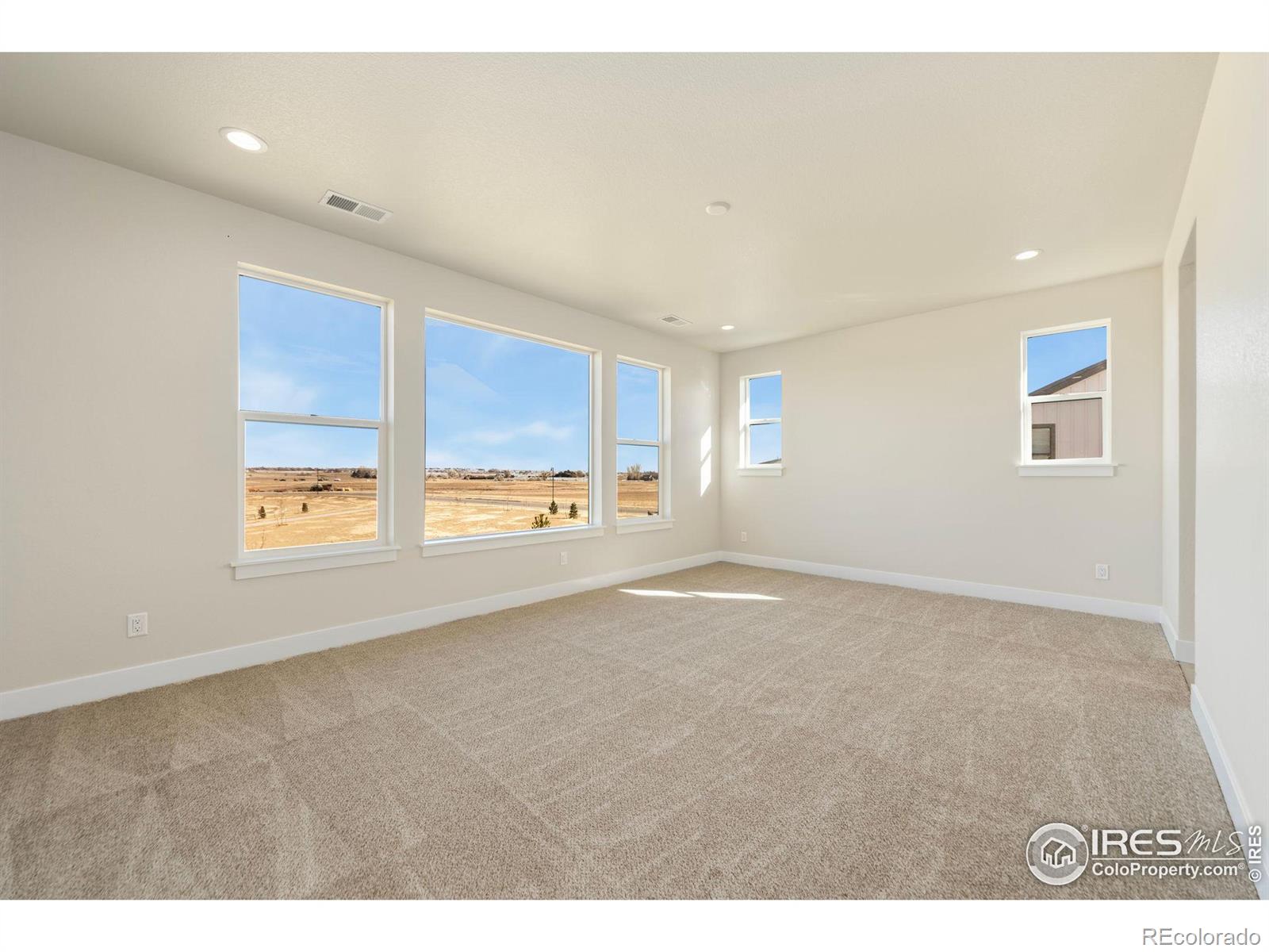 MLS Image #10 for 1414  alyssa drive,timnath, Colorado