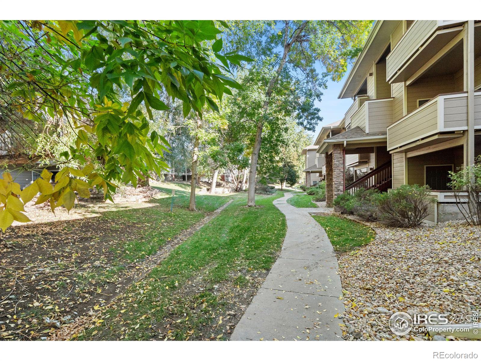 MLS Image #3 for 4545  wheaton drive,fort collins, Colorado