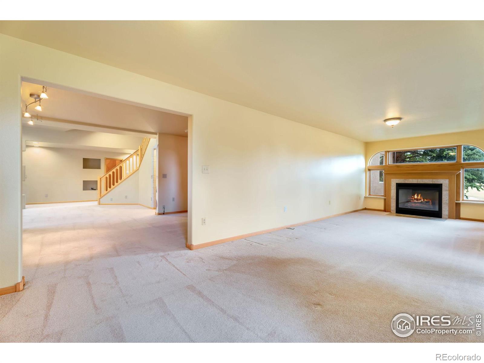 MLS Image #14 for 3310  morey court,loveland, Colorado