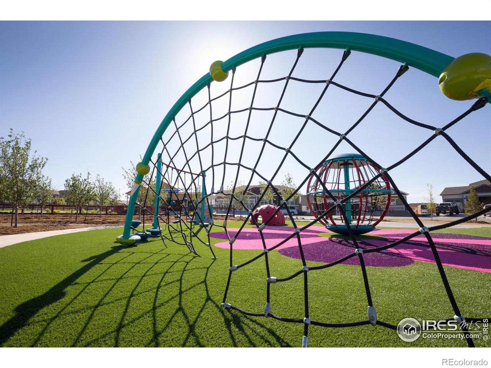 MLS Image #18 for 1589  winter glow drive,windsor, Colorado