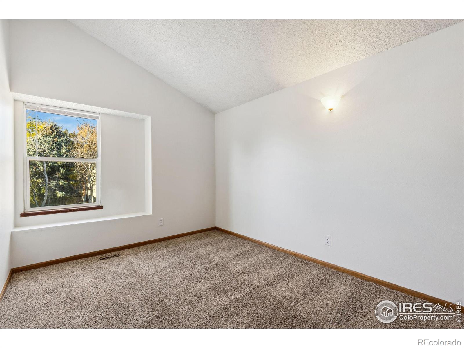 MLS Image #17 for 736  buchanan lane,longmont, Colorado