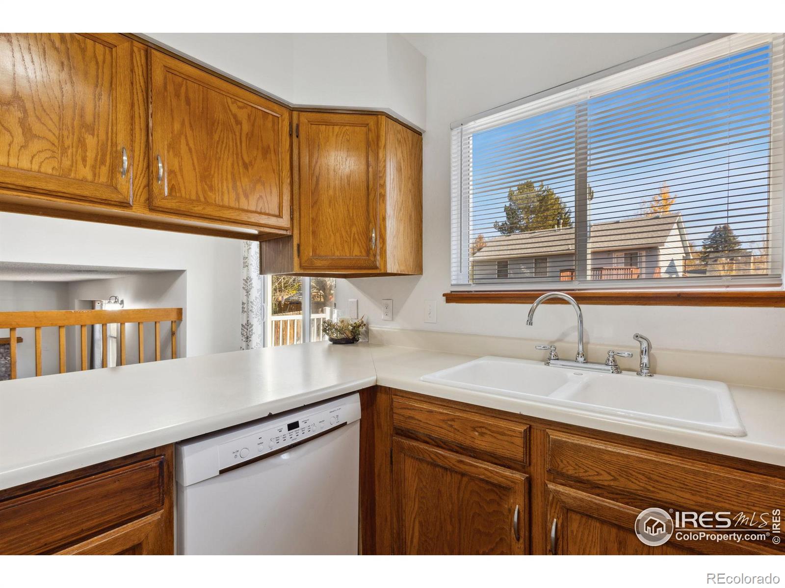 MLS Image #9 for 736  buchanan lane,longmont, Colorado