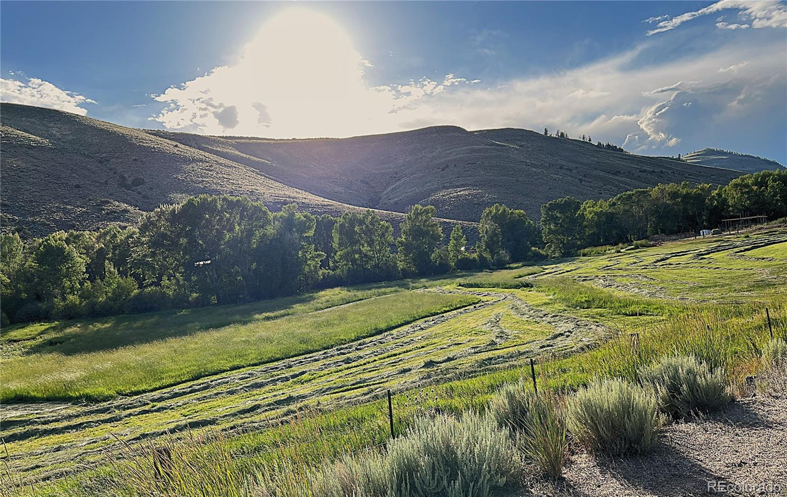 MLS Image #8 for 1778  county road 20 ,gunnison, Colorado