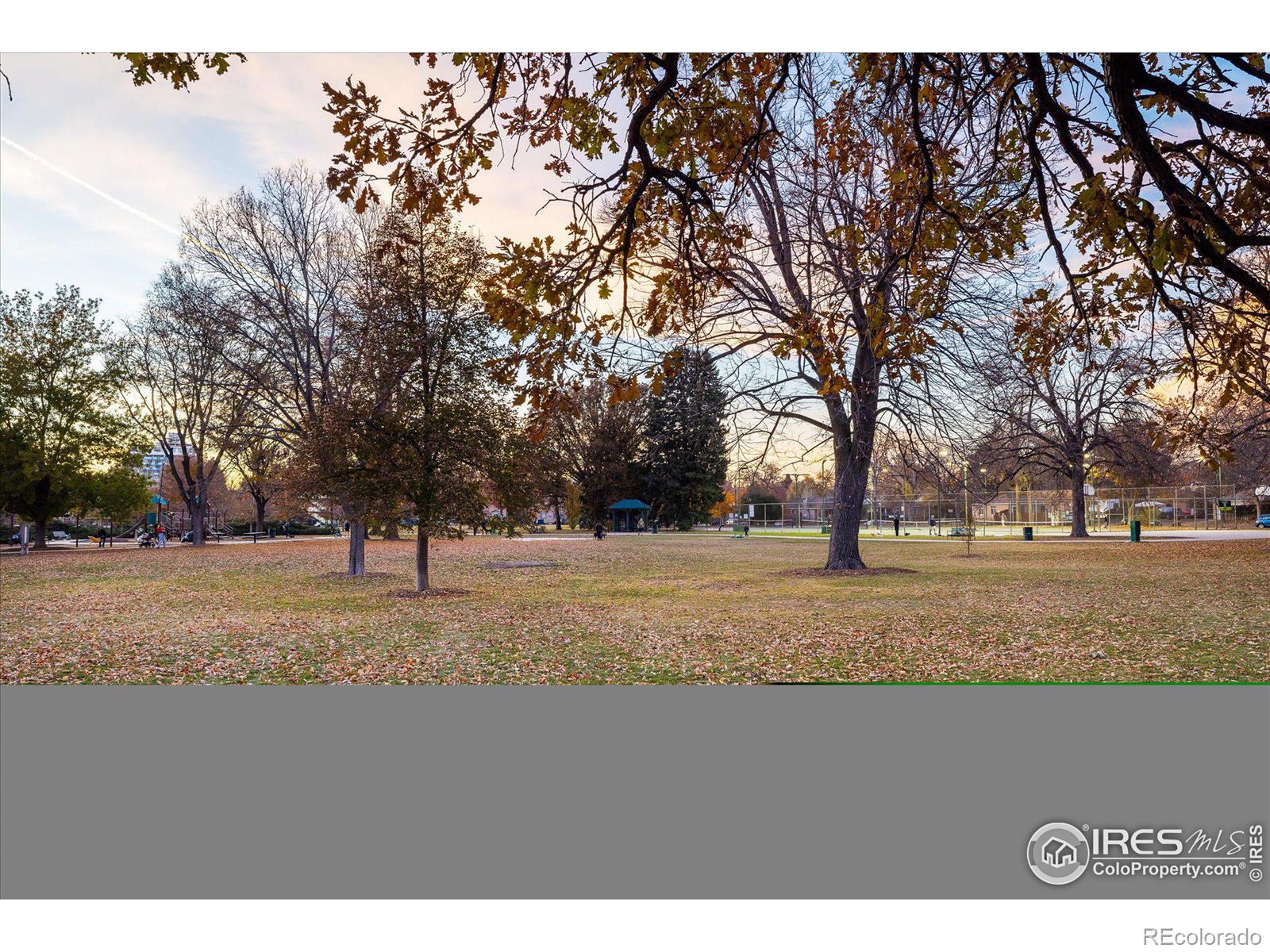 MLS Image #33 for 1171  eudora street,denver, Colorado