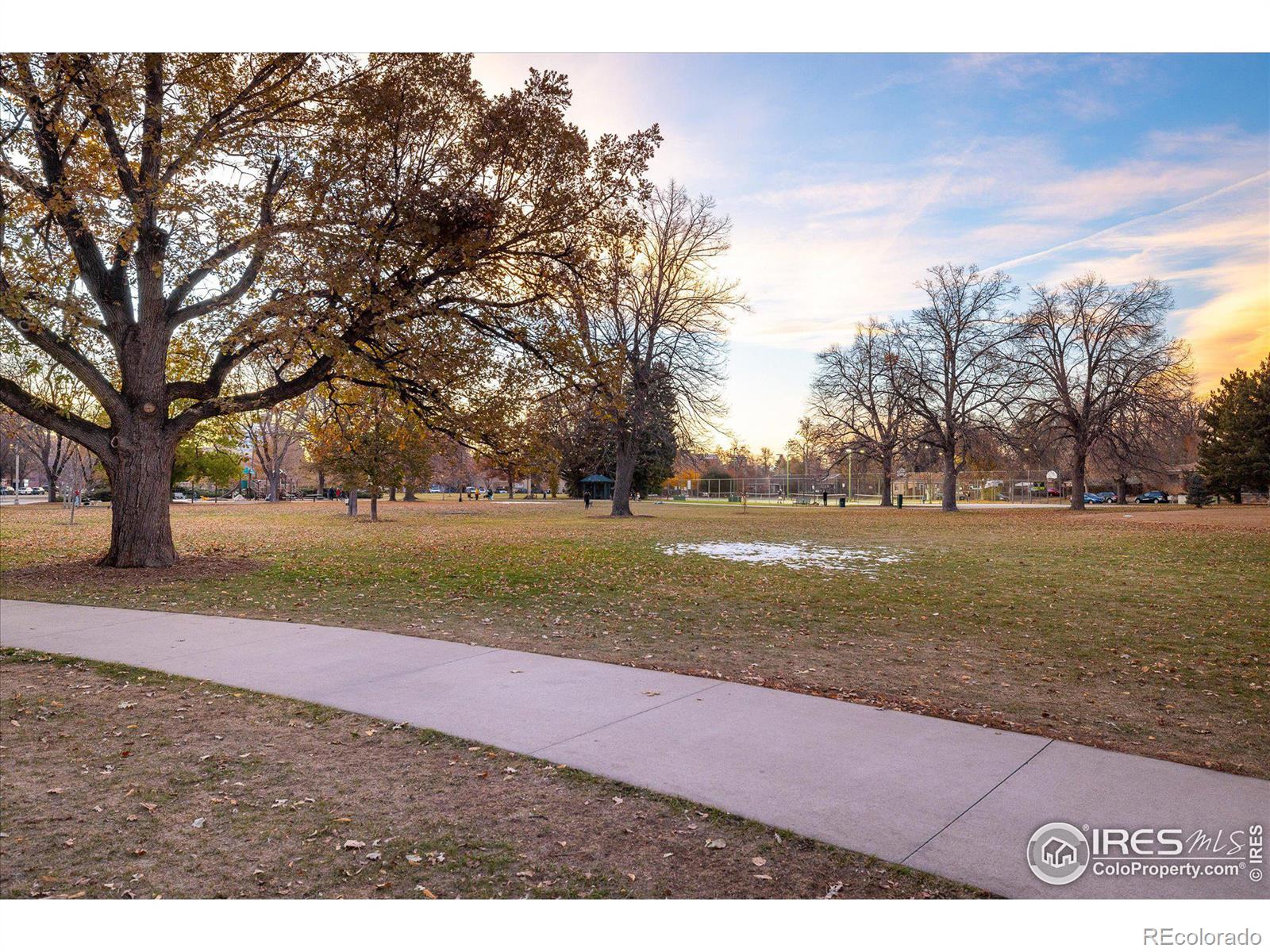 MLS Image #34 for 1171  eudora street,denver, Colorado