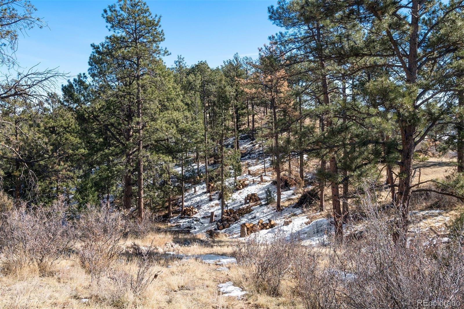 MLS Image #40 for 30755  half peak trail,pine, Colorado