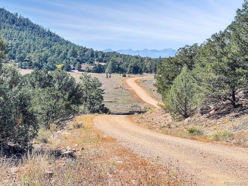 MLS Image #20 for 594  texas creek lane,cotopaxi, Colorado