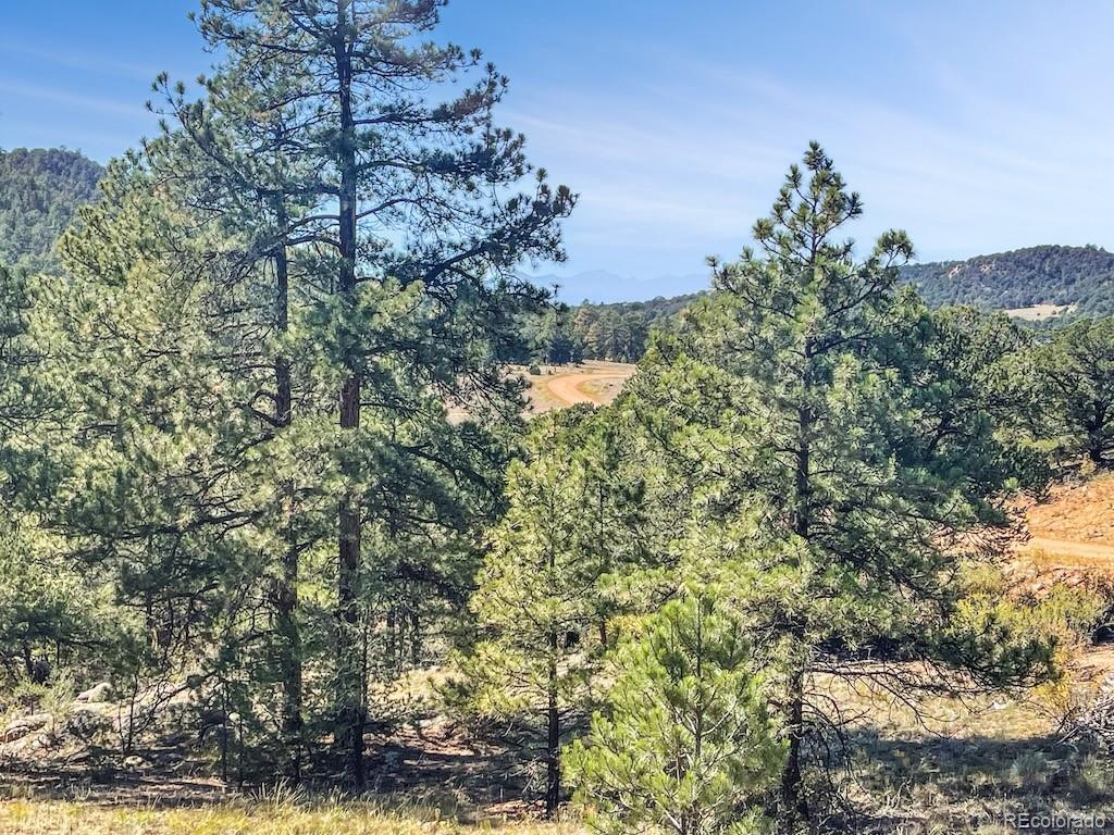 MLS Image #21 for 594  texas creek lane,cotopaxi, Colorado