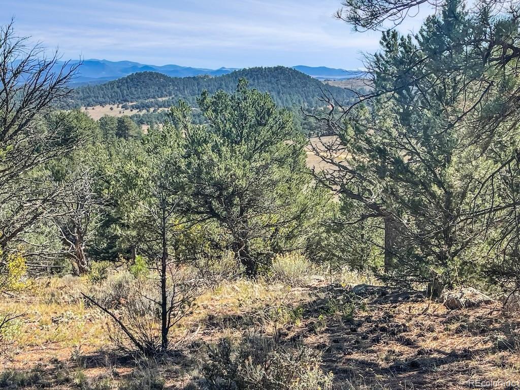 MLS Image #22 for 594  texas creek lane,cotopaxi, Colorado