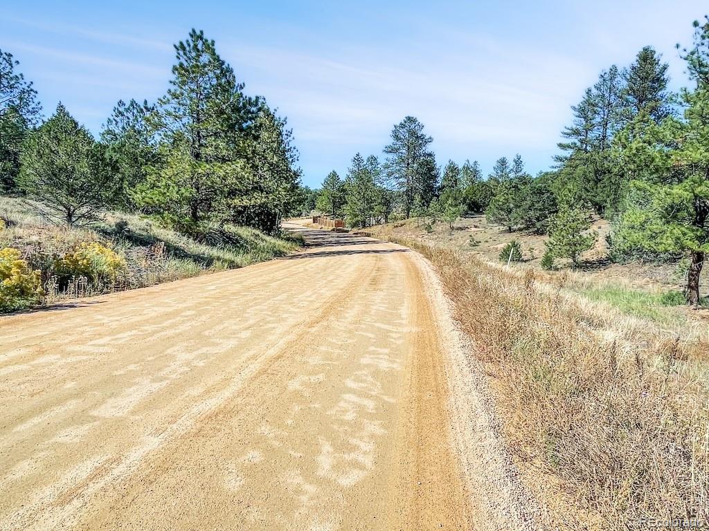 MLS Image #24 for 594  texas creek lane,cotopaxi, Colorado