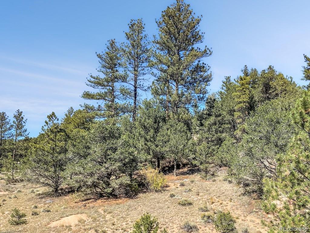 MLS Image #25 for 594  texas creek lane,cotopaxi, Colorado