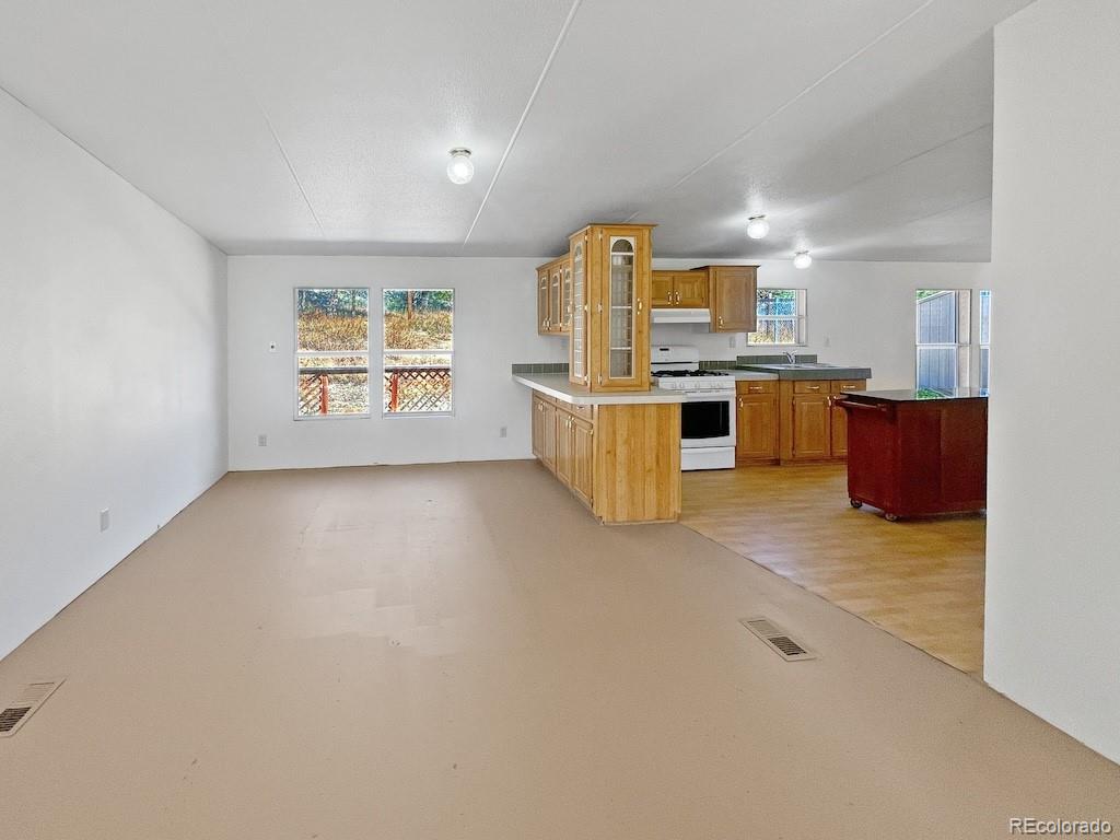 MLS Image #3 for 594  texas creek lane,cotopaxi, Colorado