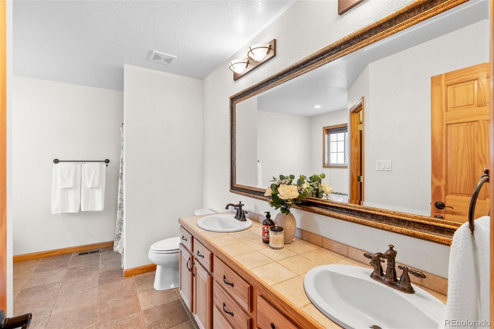 MLS Image #17 for 228  beaver trail,bailey, Colorado