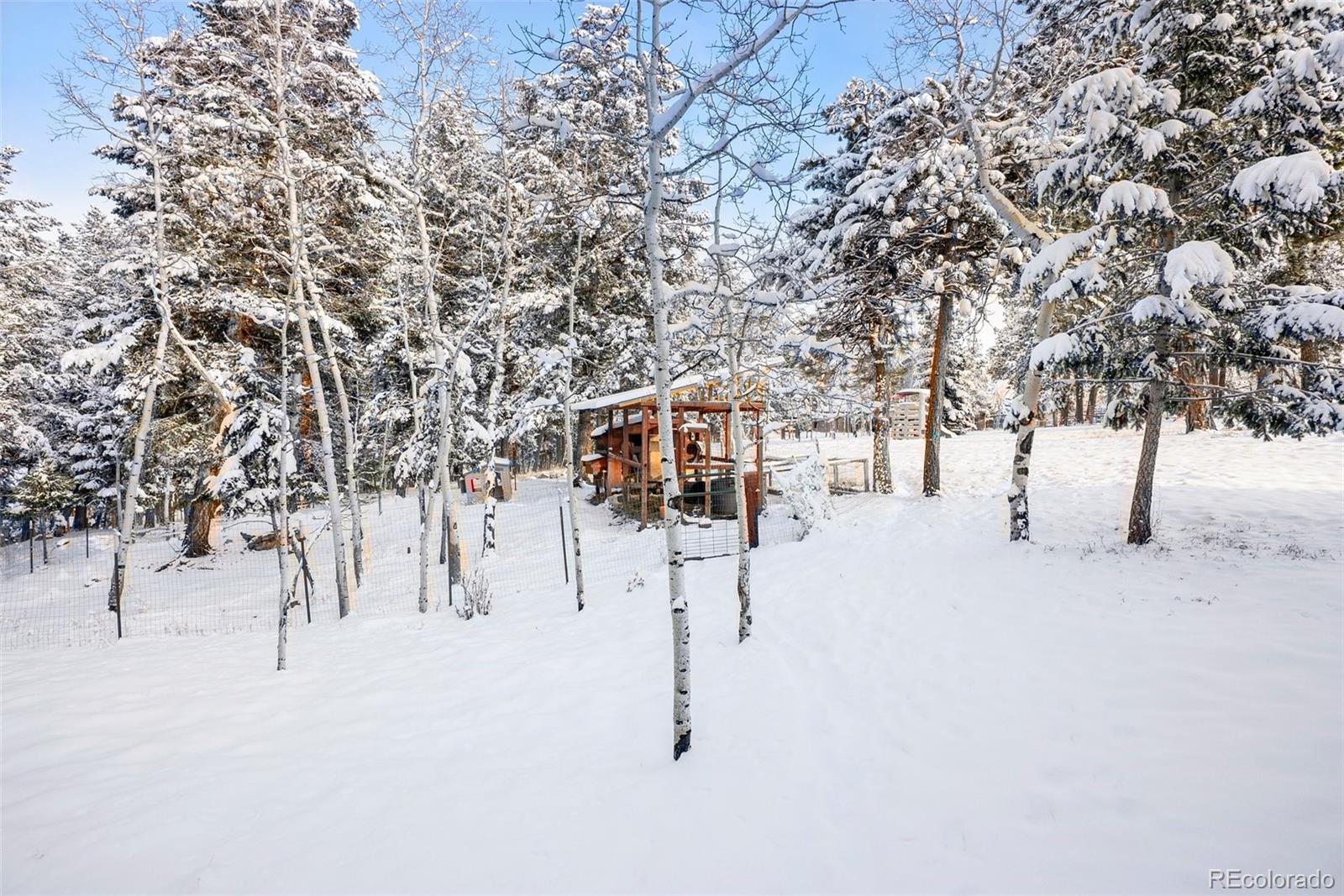 MLS Image #34 for 228  beaver trail,bailey, Colorado