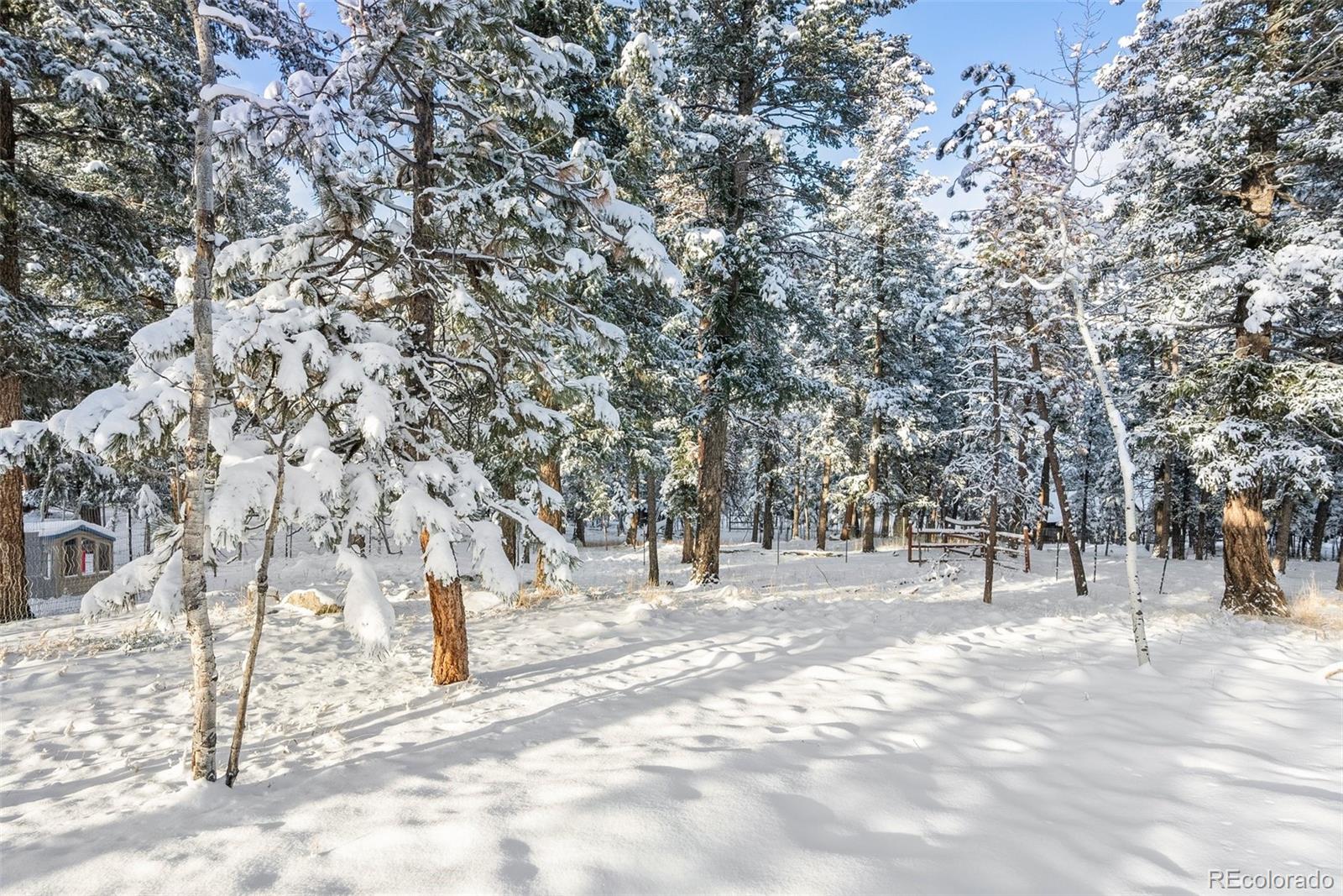 MLS Image #36 for 228  beaver trail,bailey, Colorado