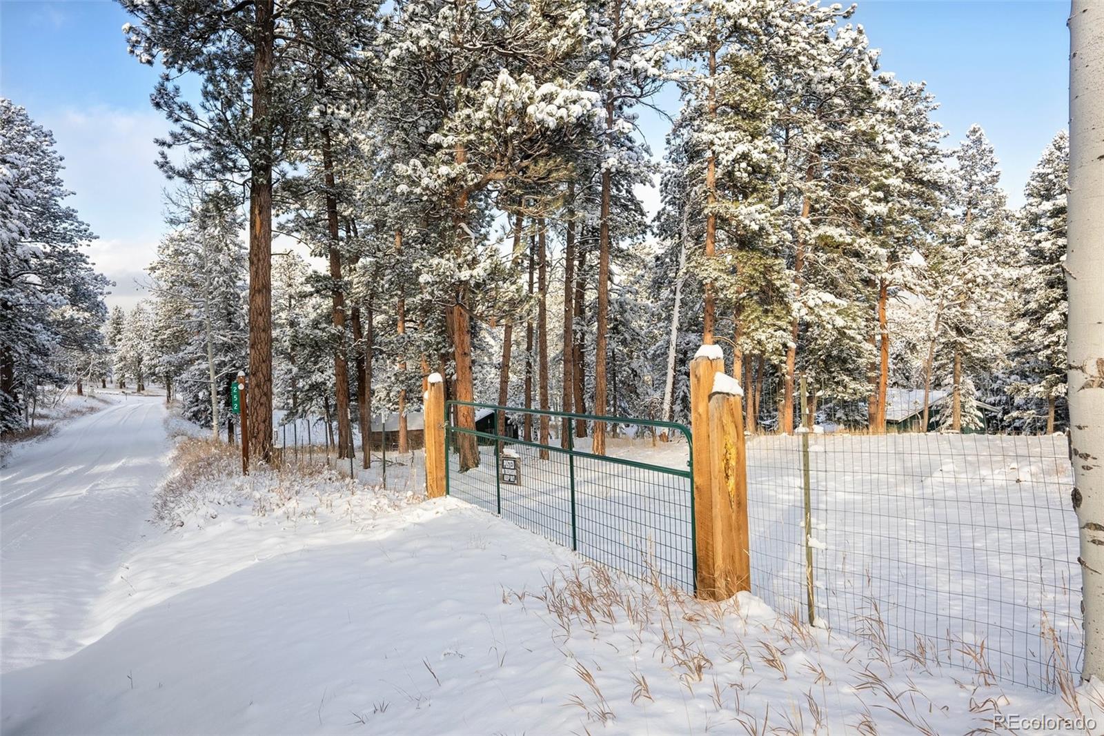 MLS Image #37 for 228  beaver trail,bailey, Colorado