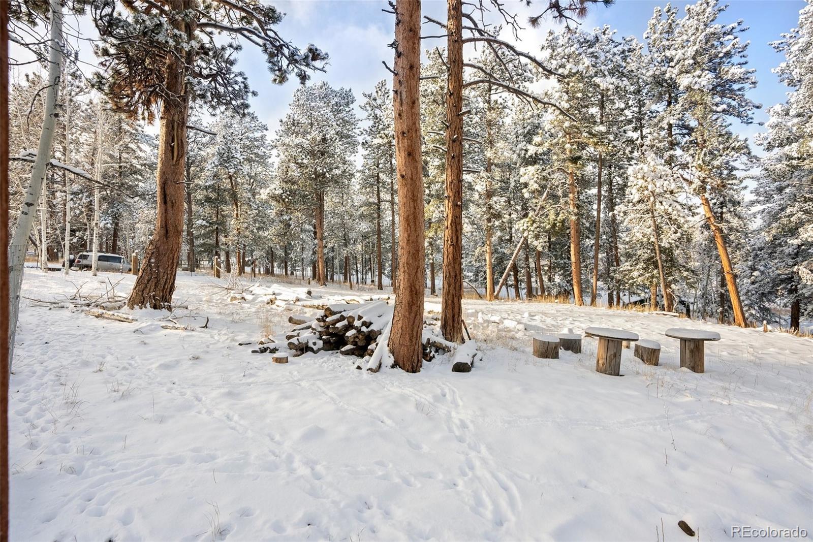 MLS Image #39 for 228  beaver trail,bailey, Colorado