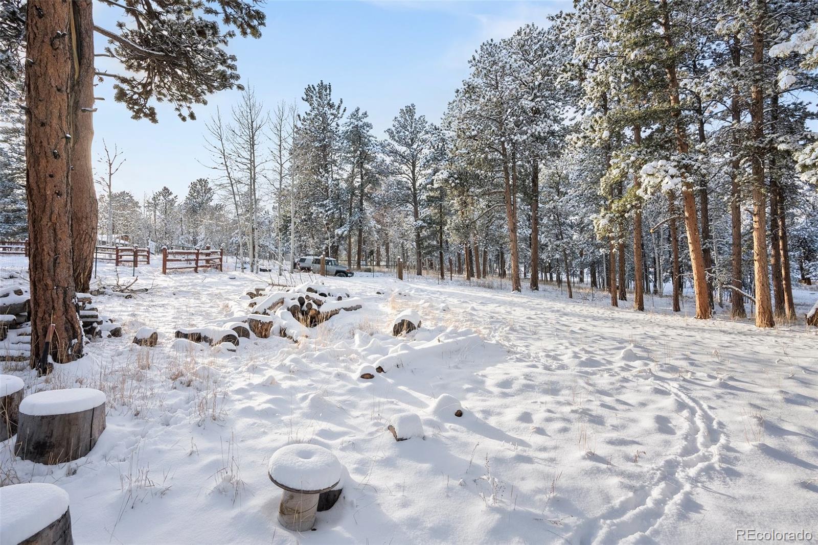 MLS Image #40 for 228  beaver trail,bailey, Colorado