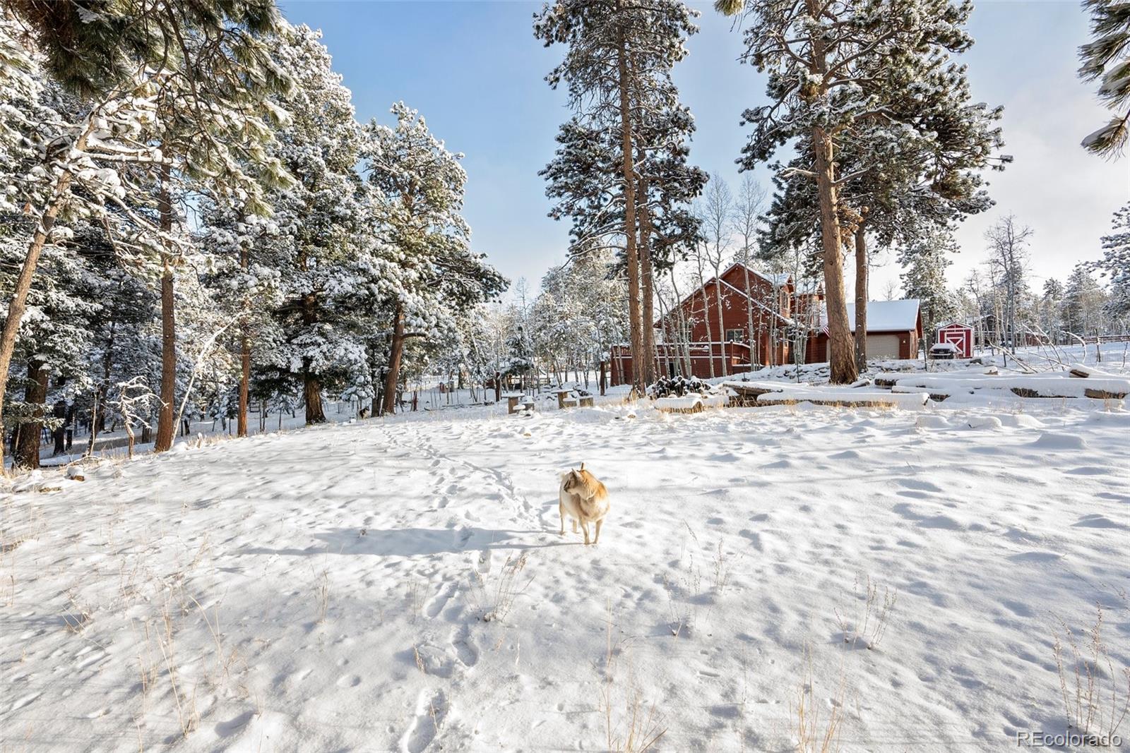 MLS Image #41 for 228  beaver trail,bailey, Colorado