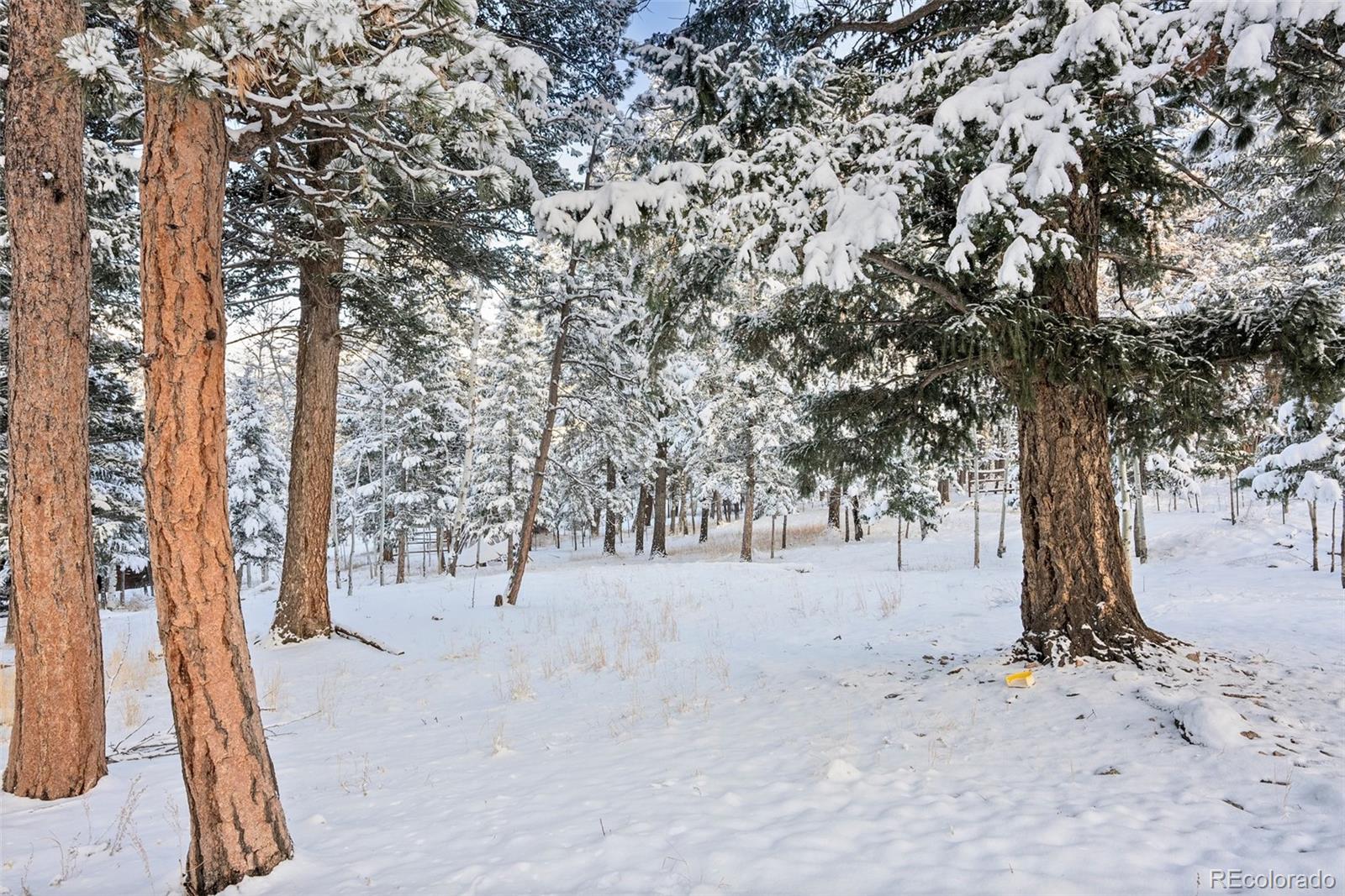 MLS Image #43 for 228  beaver trail,bailey, Colorado