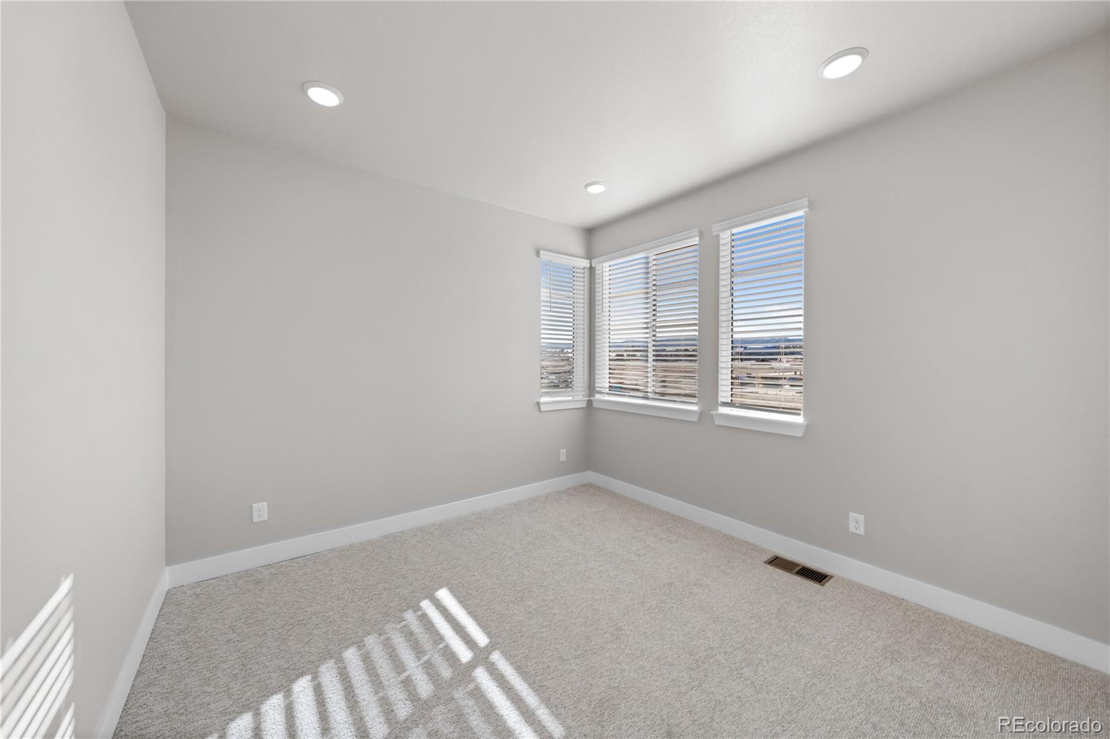 MLS Image #27 for 8894  whiteclover street,littleton, Colorado