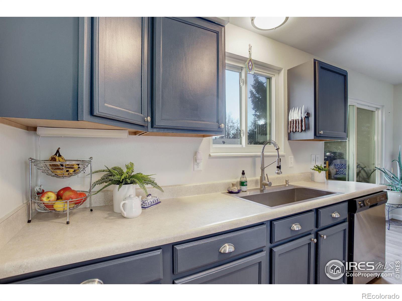 MLS Image #15 for 3012  placer court,fort collins, Colorado