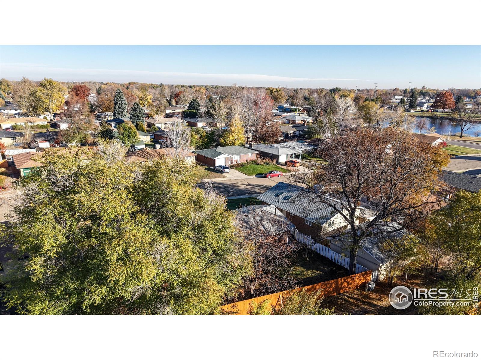 MLS Image #26 for 1233  sunset street,longmont, Colorado