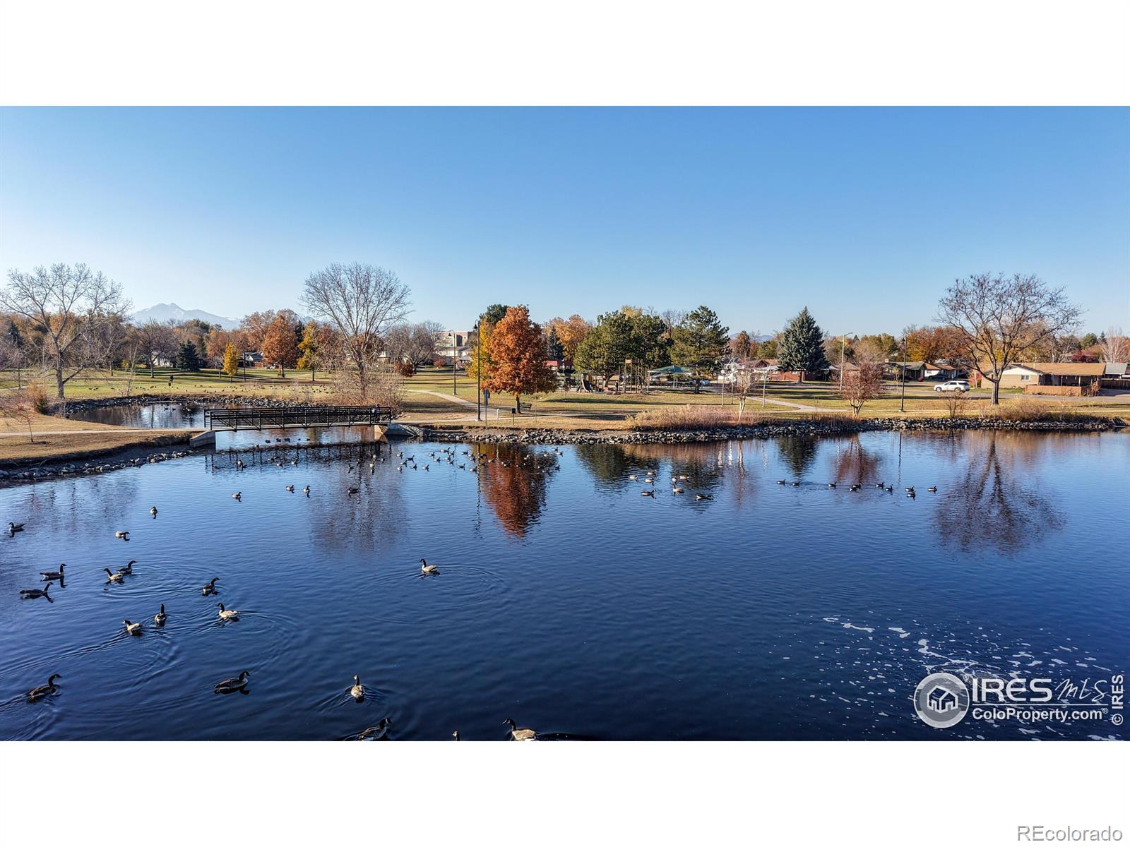 MLS Image #32 for 1233  sunset street,longmont, Colorado